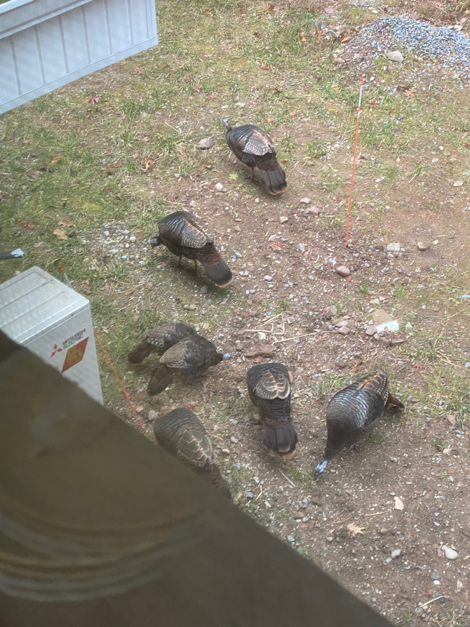 Mountain views — First Light private grounds