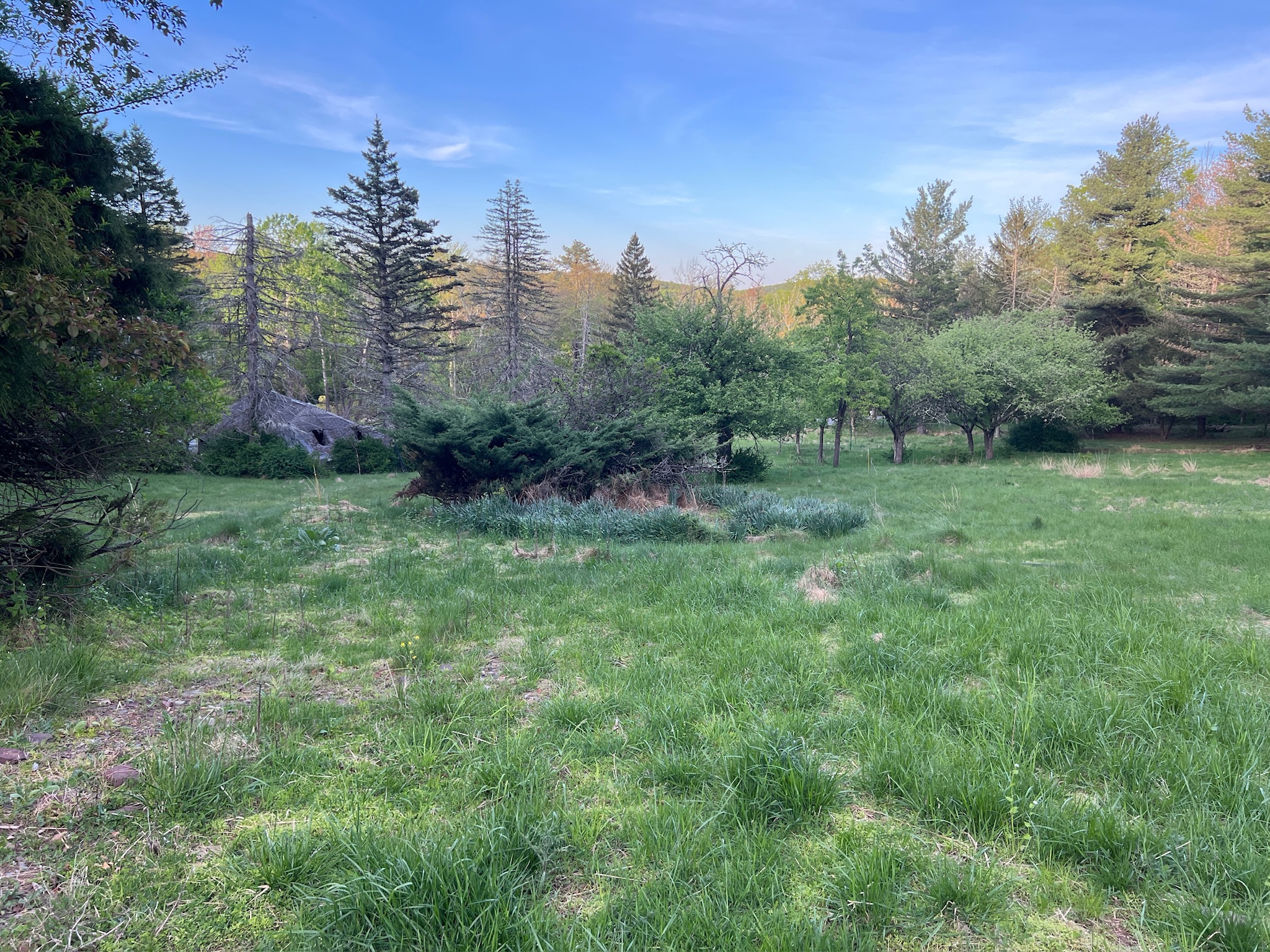 Exterior — side elevation of First Light