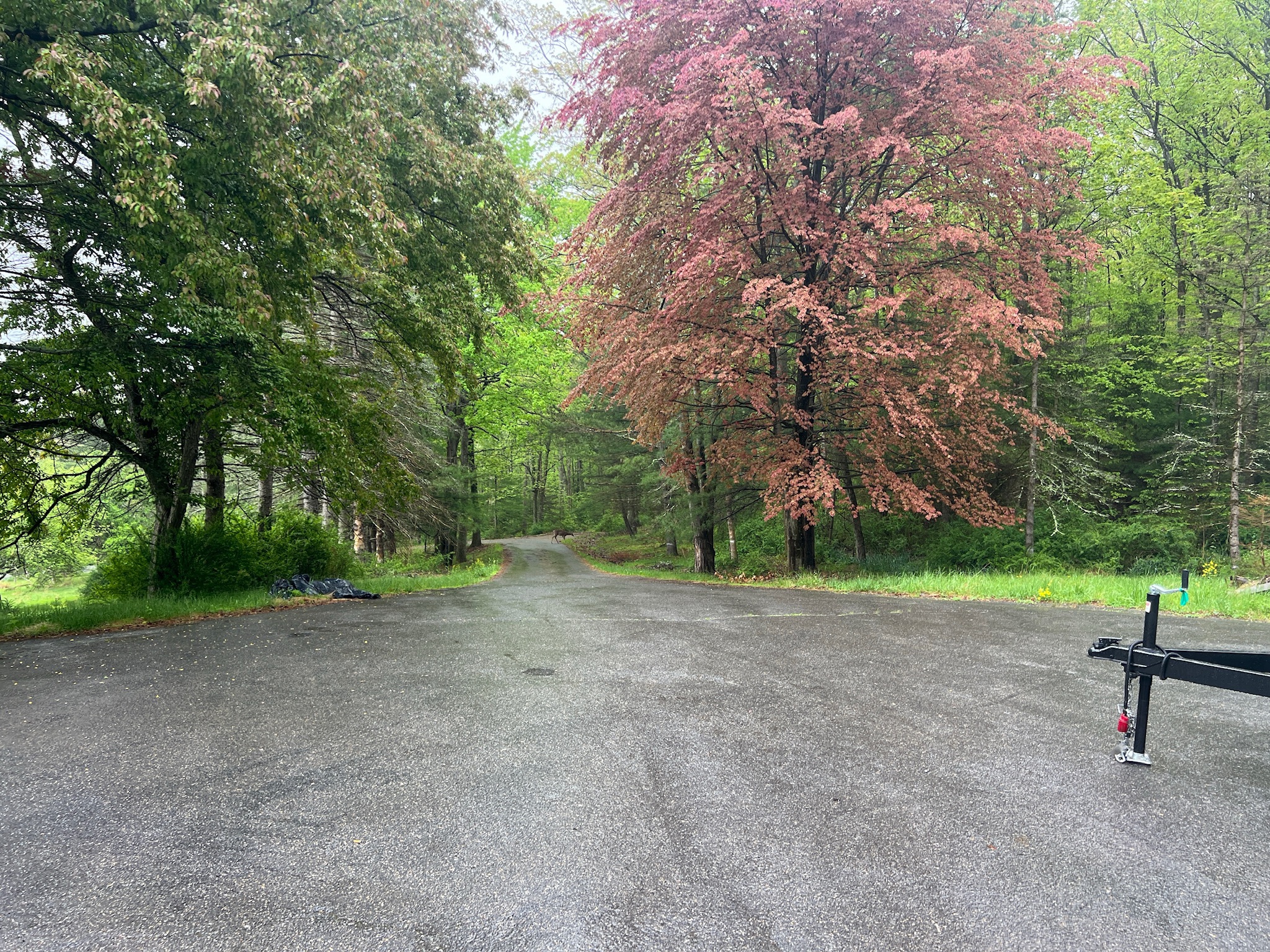 Third full bathroom at First Light