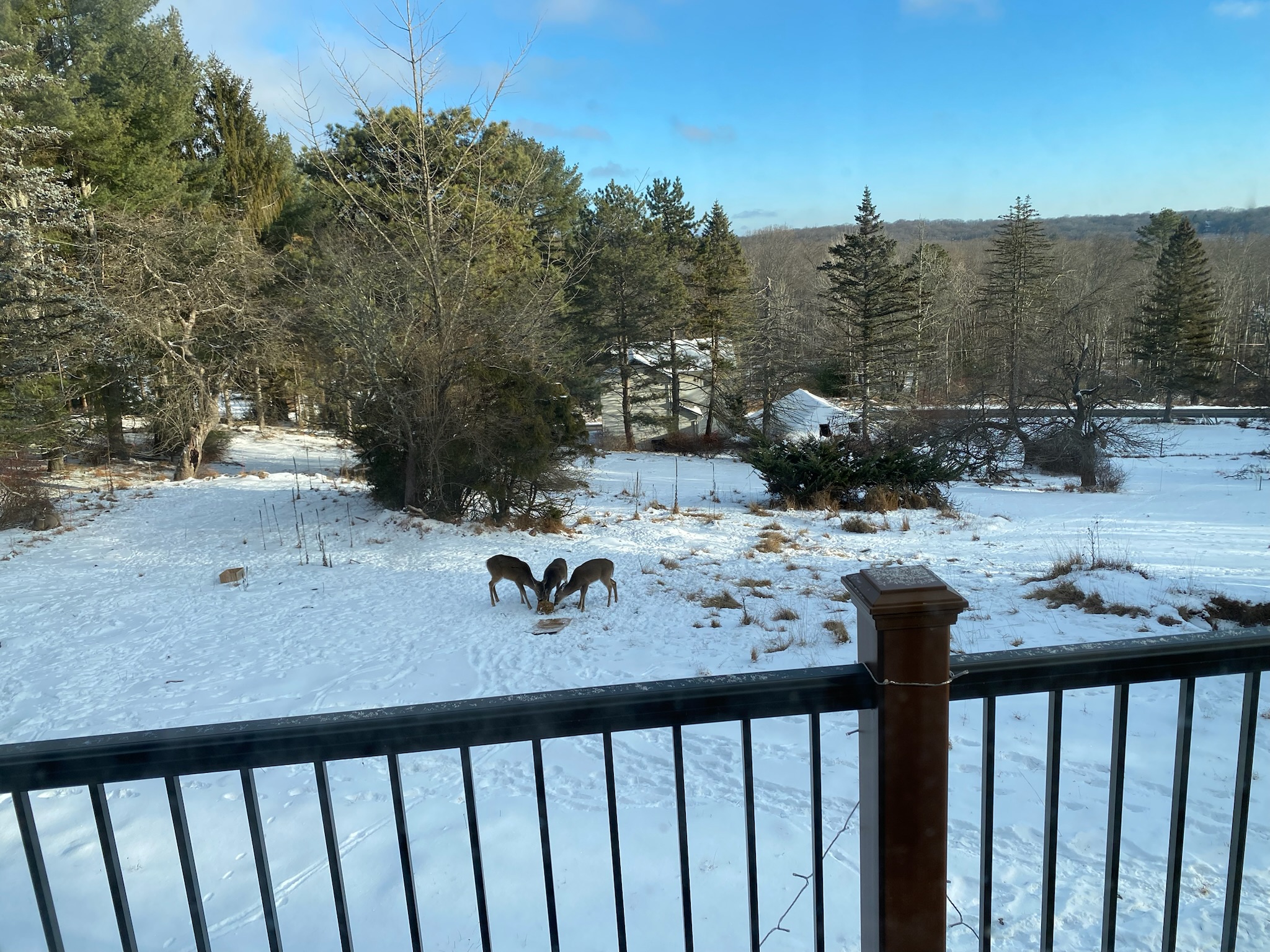 Dining table ready at First Light