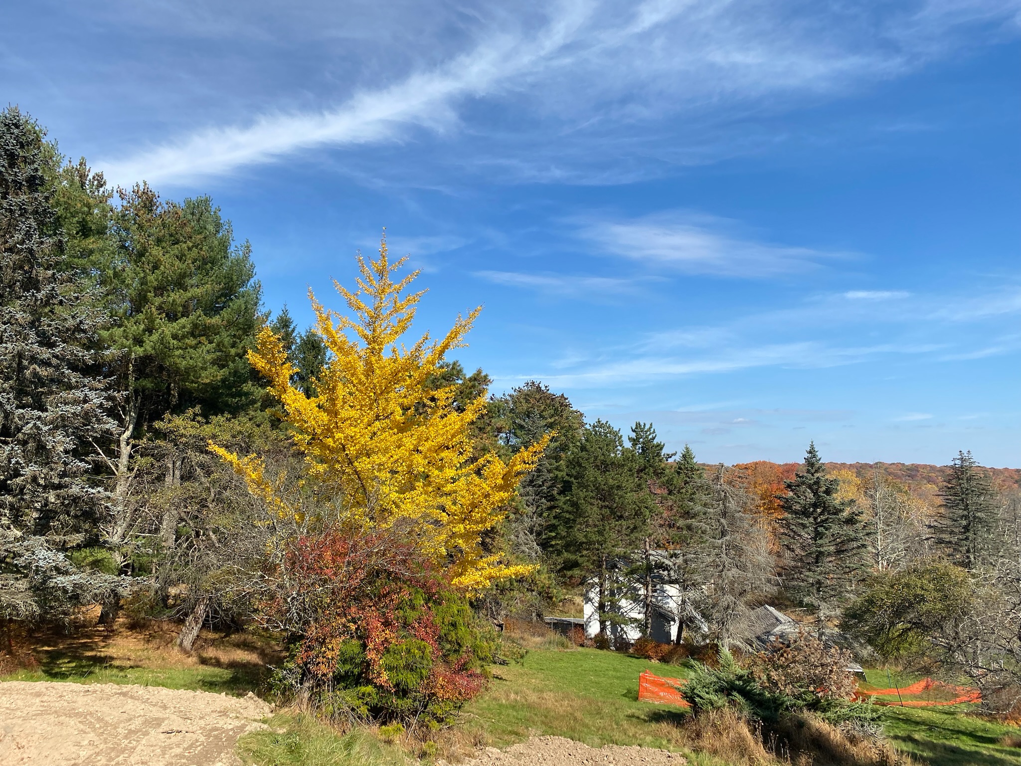 Fall color on the approach to First Light