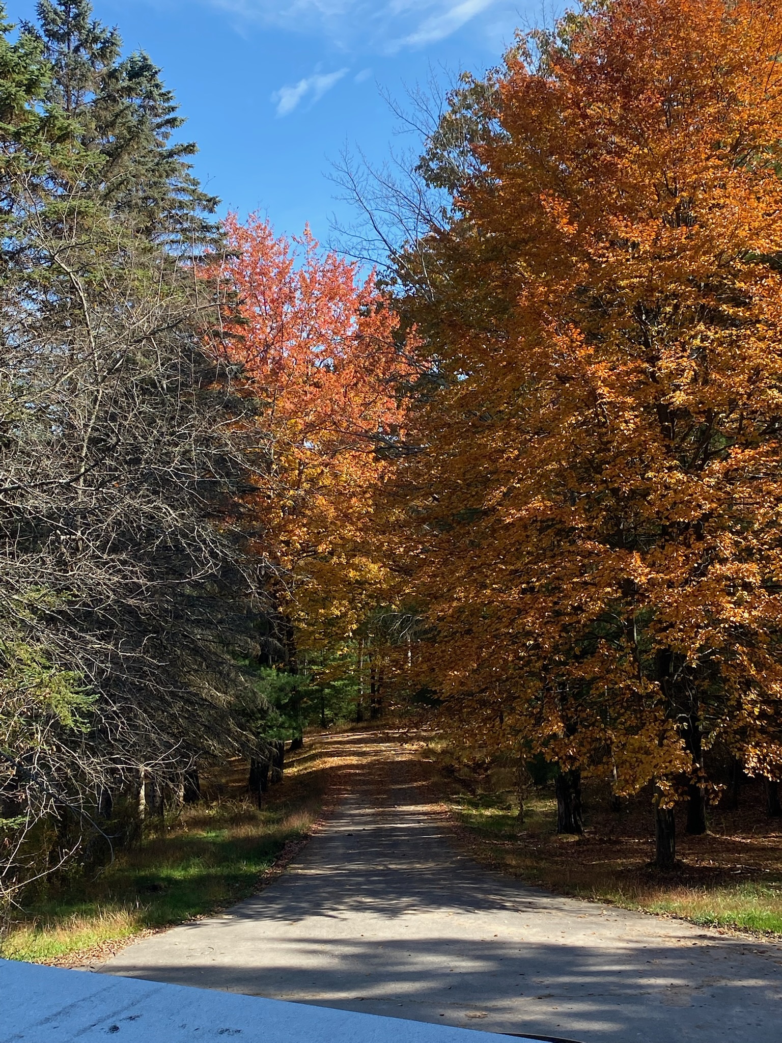 Additional lower-level space at First Light