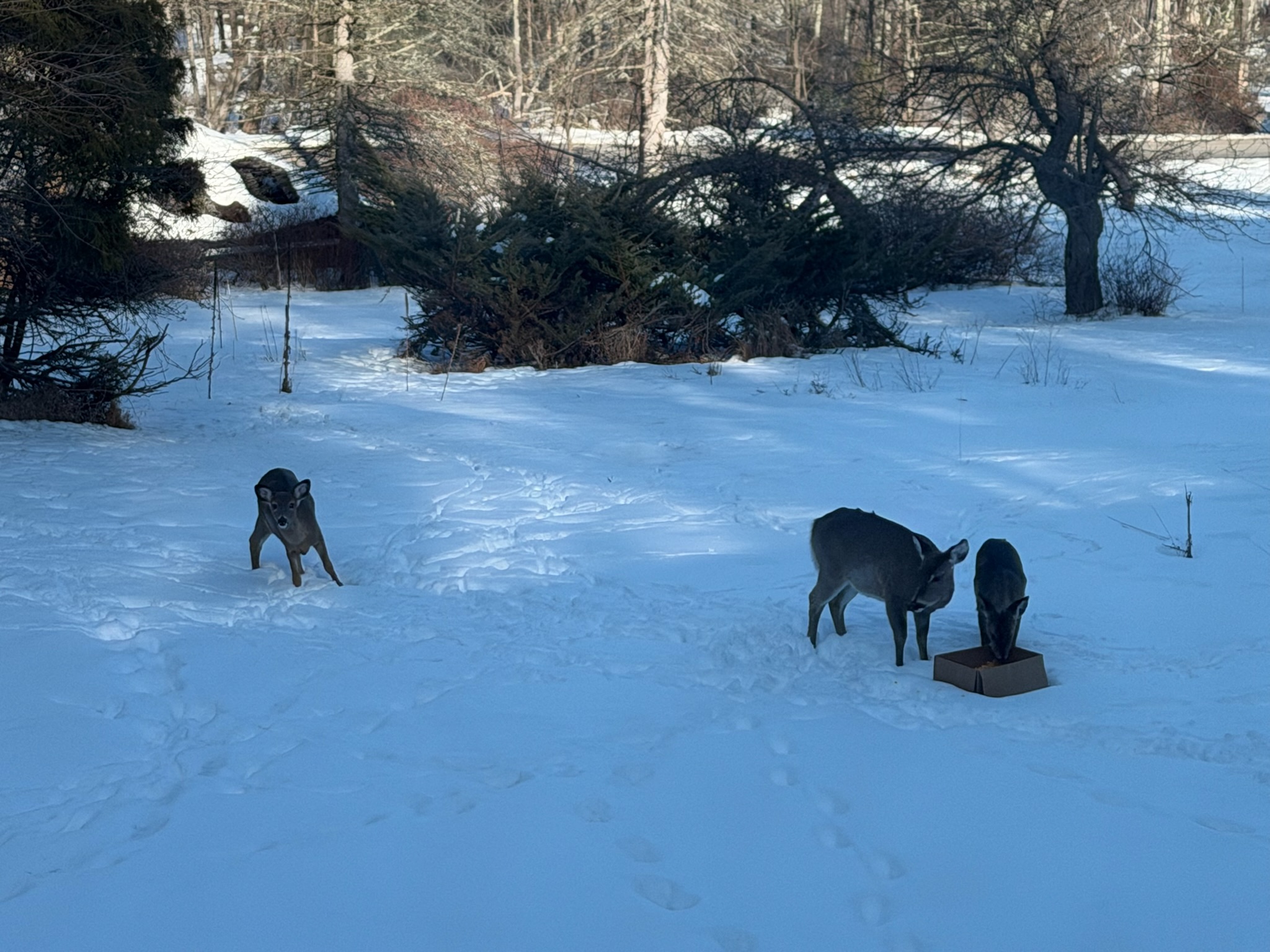 Exercise and utility area at First Light