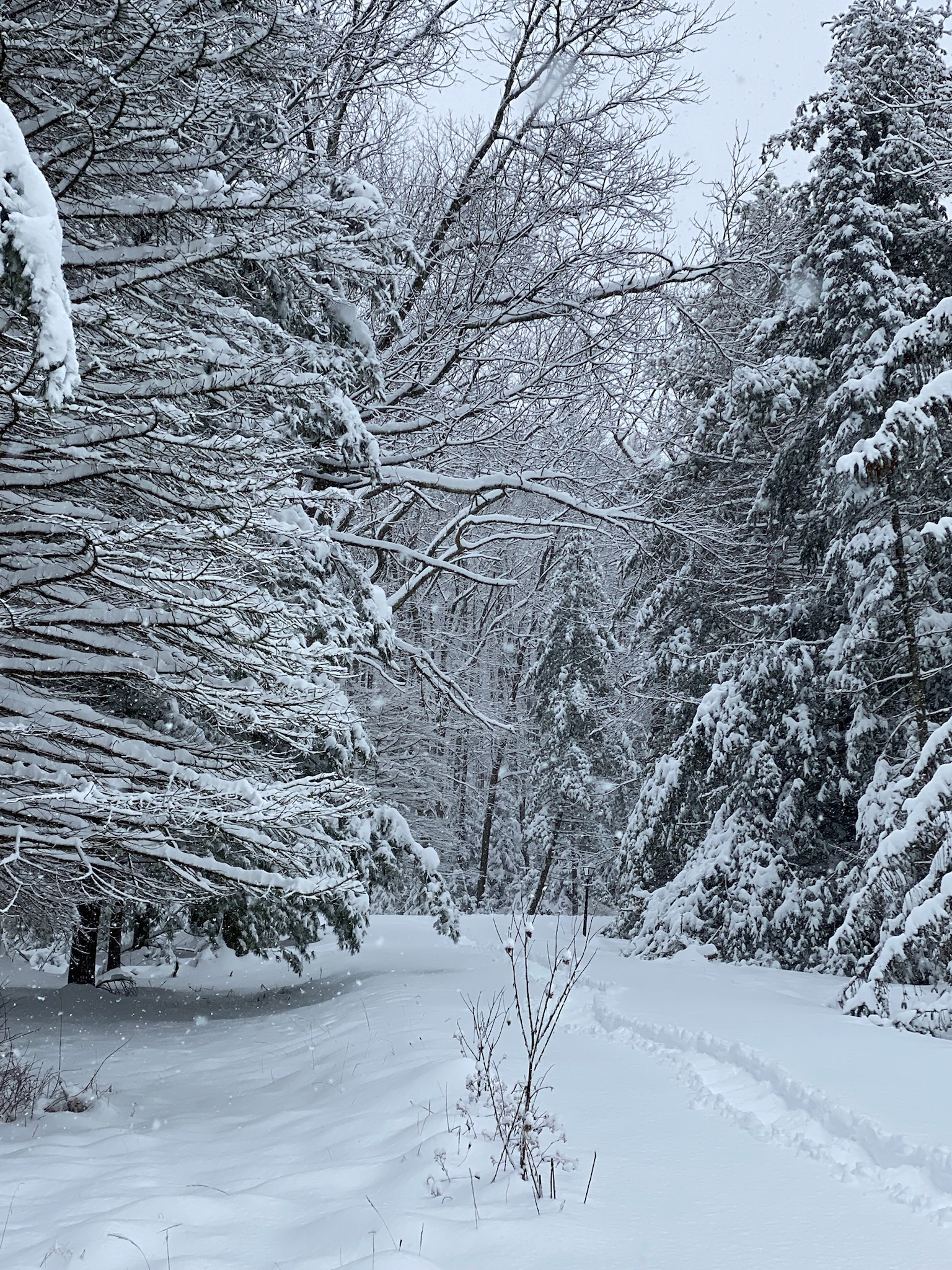 Bedroom with windows at First Light