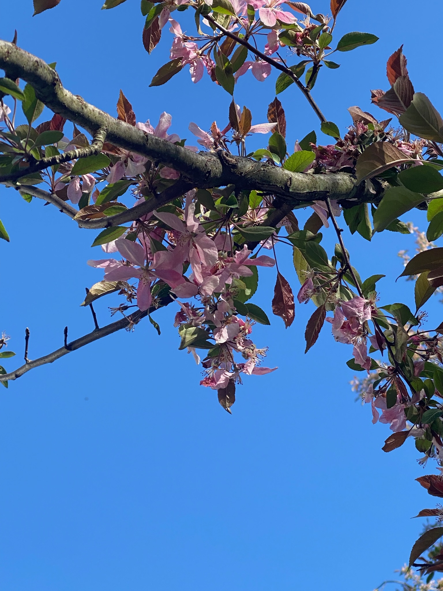 Additional bedroom at First Light