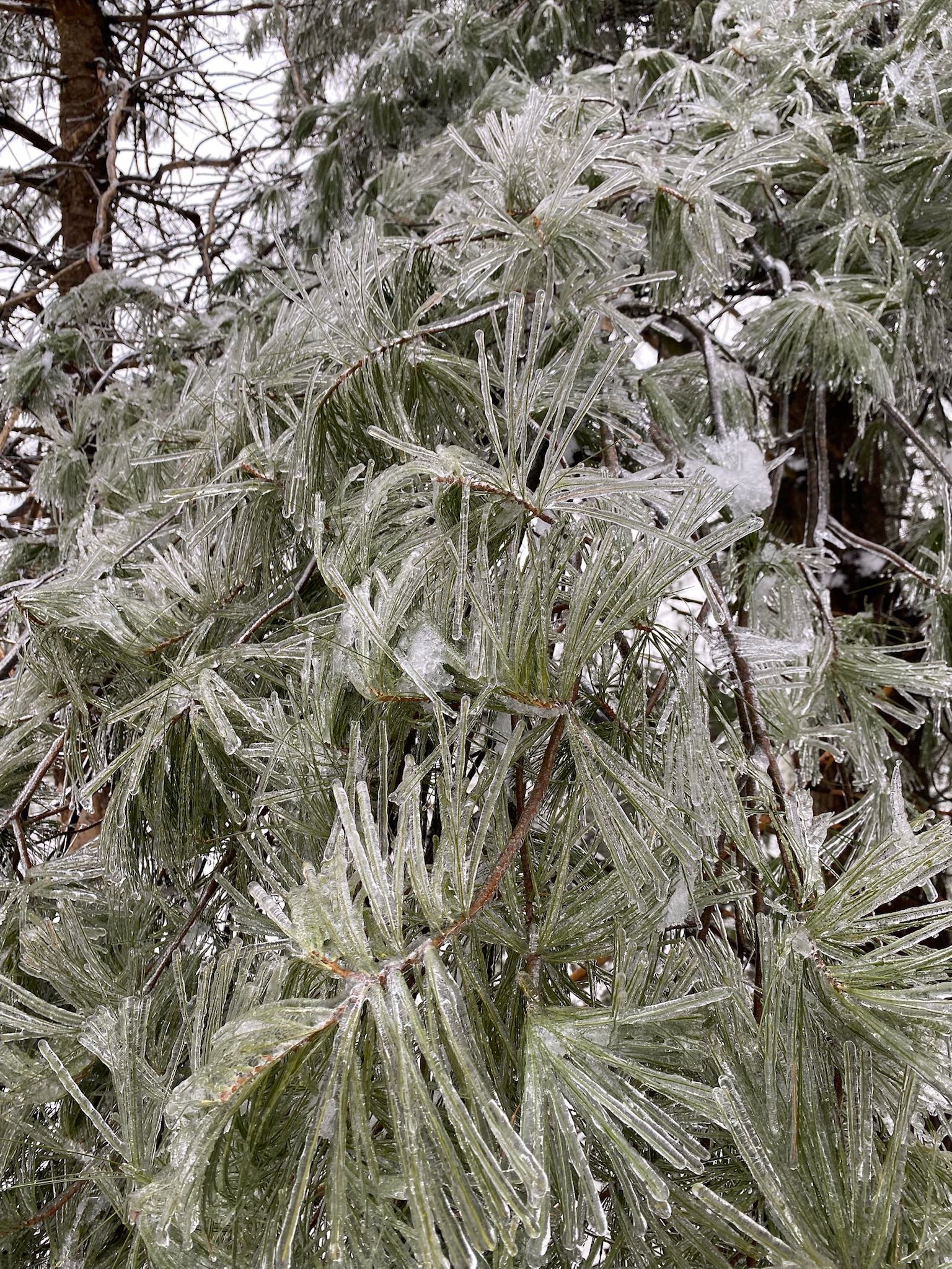 Hot tub inside the enclosed patio at First Light