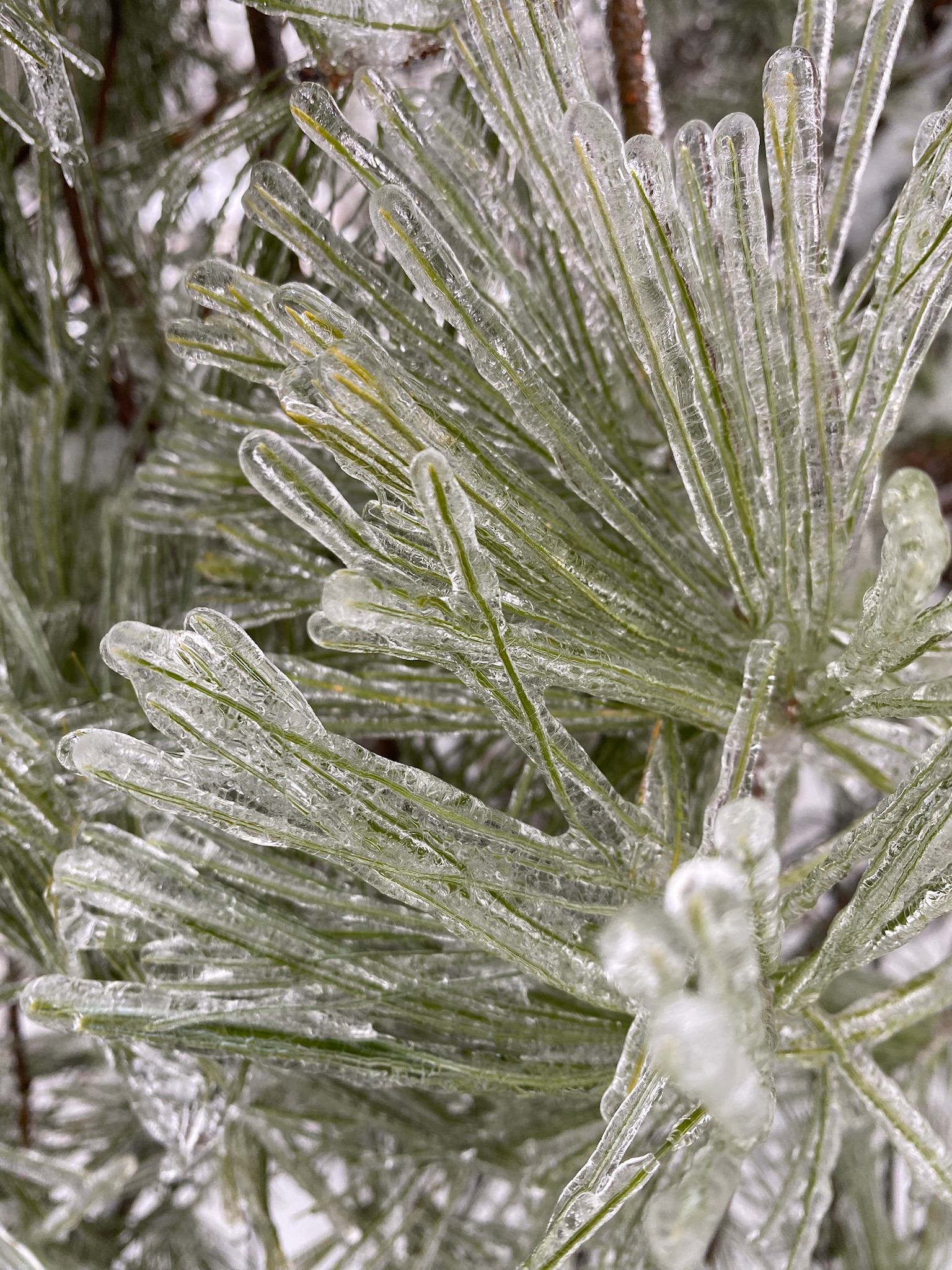 Hot tub and enclosed patio at night at First Light